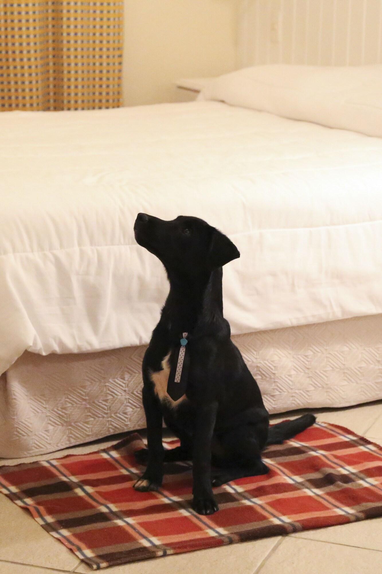 Vitoria Hotel Residence Newport Campinas  Luaran gambar